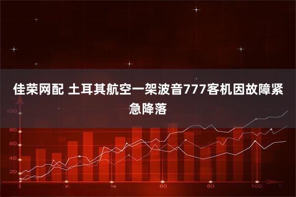 佳荣网配 土耳其航空一架波音777客机因故障紧急降落