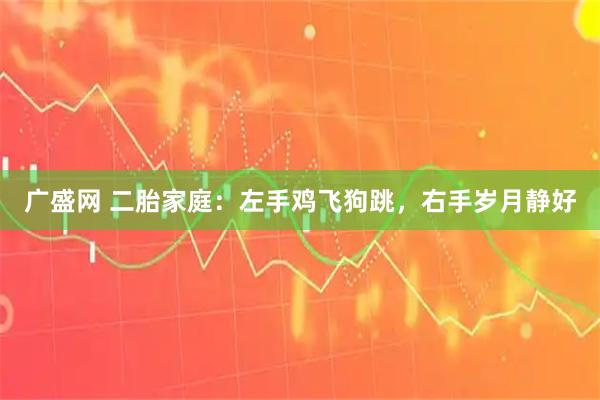 广盛网 二胎家庭:左手鸡飞狗跳,右手岁月静好