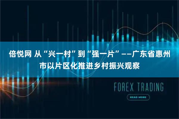 倍悦网 从“兴一村”到“强一片”——广东省惠州市以片区化推进乡村振兴观察